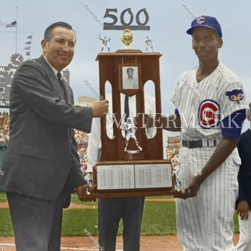 500 homerun trophy